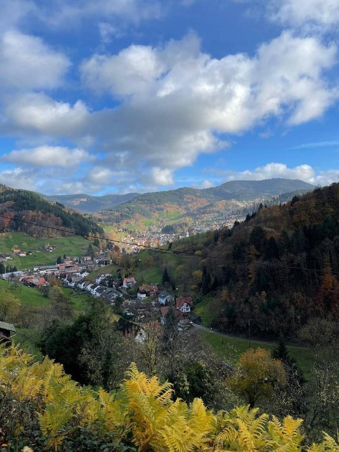 Einzigartiges Apartment, Mitten In Der Natur Ottenhofen im Schwarzwald Exteriör bild