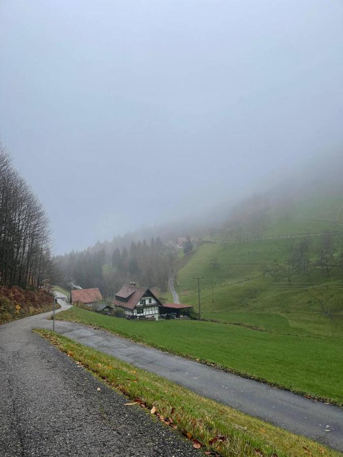 Einzigartiges Apartment, Mitten In Der Natur Ottenhofen im Schwarzwald Exteriör bild
