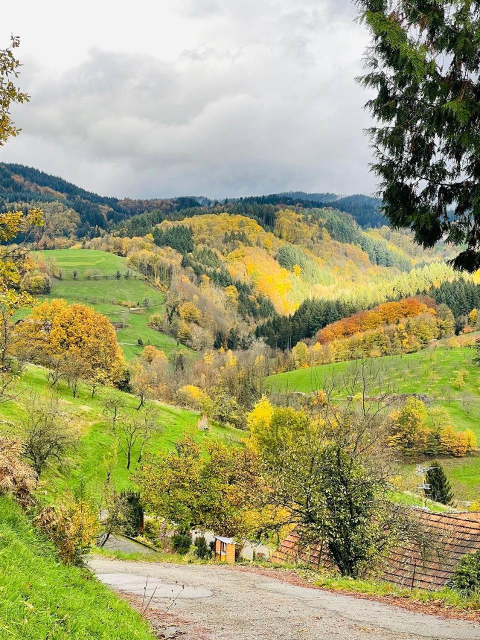 Einzigartiges Apartment, Mitten In Der Natur Ottenhofen im Schwarzwald Exteriör bild